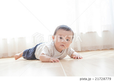 9 months old 9 months old 21728779