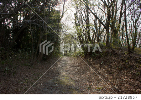 倶利伽羅古道 倶利伽羅古道 21728957