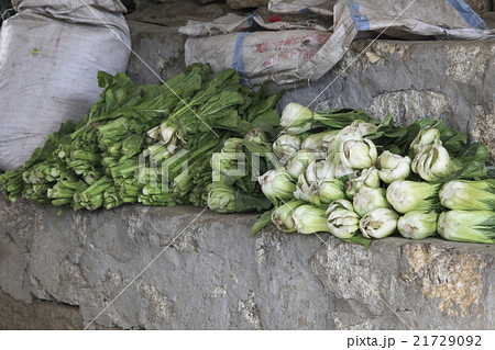 エベレスト街道　ナムチェ・バザール　ネパール 21729092