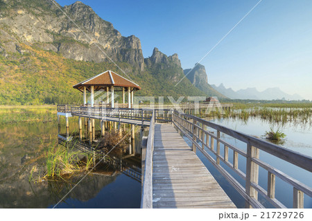 Bung Bua khao sam roi yod national park thailand Bung Bua khao sam roi yod national park thailand 21729726