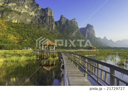 Bung Bua  khao sam roi yod national park, thailand 21729727