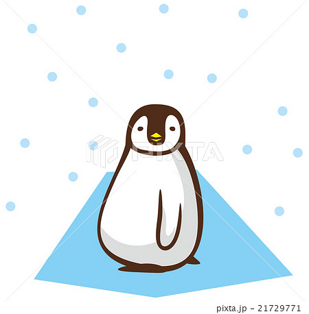 ペンギン 横向きのイラスト素材