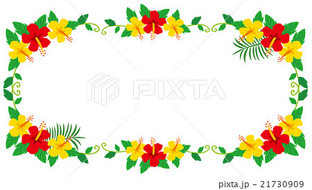 南国の植物で作った装飾枠のイラスト ハイビスカス のイラスト素材