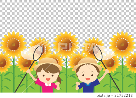 sunflower sunflower 21732218
