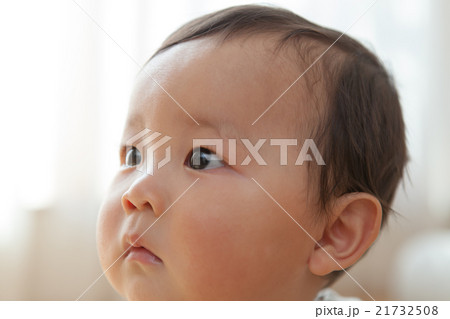 9 months old 9 months old 21732508