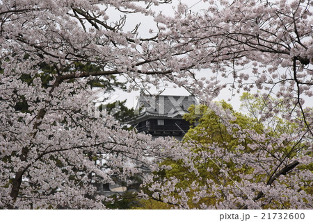 桜の岡崎城 21732600