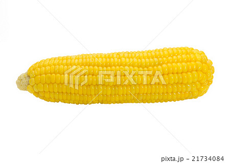 Boiled corn isolated on white background 21734084