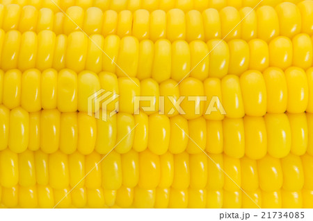 Close-up of yellow sweet corn concept 21734085