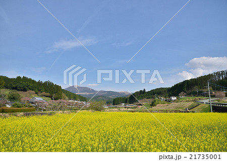 熊本県小国町春風景 遠望は涌蓋山 熊本県小国町春風景 遠望は涌蓋山 21735001
