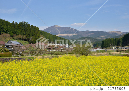 熊本県小国町春風景　遠望は涌蓋山 21735003