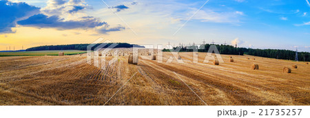 Hay bales on field 21735257
