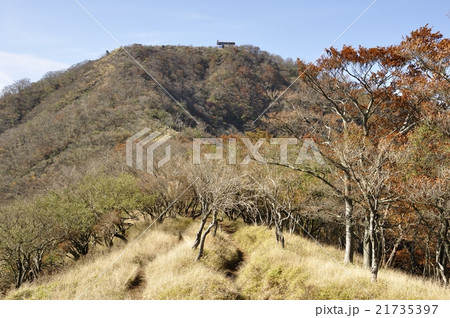 秋色の塔ノ岳 秋色の塔ノ岳 21735397