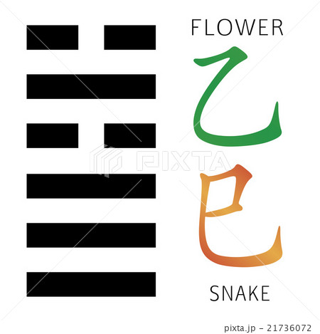 Hexagram from chinese hieroglyphs. Flower, snake 21736072