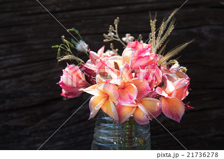 plumeria flower in the vase ,soft focus. 21736278