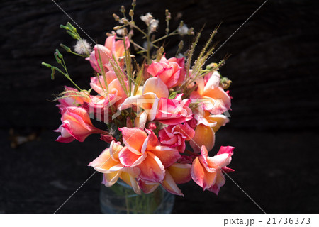 plumeria flower in the vase,soft focus 21736373