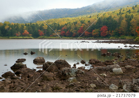 北八ケ岳・雨池の紅葉 21737079