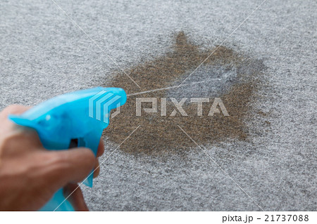 染み抜きイメージ 染み抜きイメージ 21737088