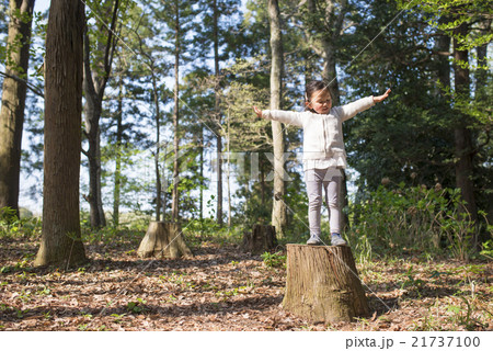 森で遊ぶ女の子 21737100