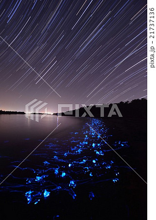 富山湾　春夜の海 21737136