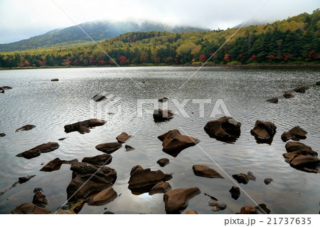 秋の北八ケ岳・雨池 21737635