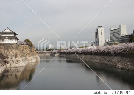 大阪城お堀の桜 21739294