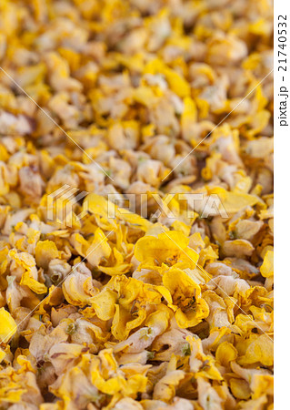 Dry mullein flowers 21740532