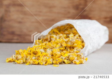Dry mullein flowers 21740533