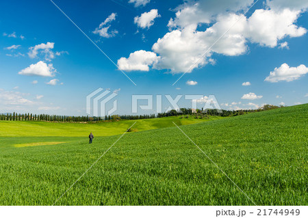 A man alone in a tuscan landscape A man alone in a tuscan landscape 21744949