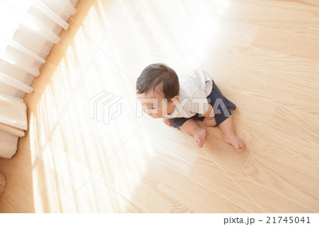 9 months old 21745041