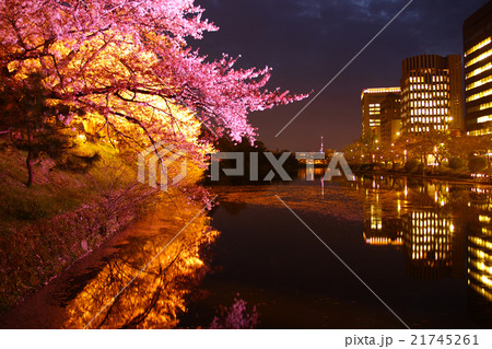 夜桜ライトアップ　福岡市撮影 21745261