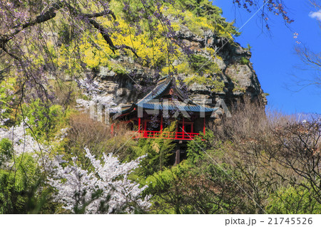 春の布引観音 21745526