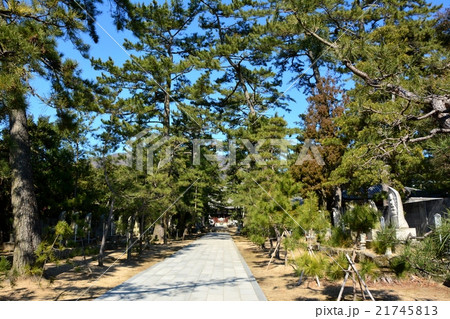 四国80番札所国分寺(参道) 四国80番札所国分寺(参道) 21745813