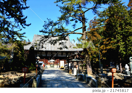 四国80番札所国分寺(本堂) 四国80番札所国分寺(本堂) 21745817