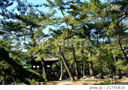 四国80番札所国分寺(鐘楼堂) 四国80番札所国分寺(鐘楼堂) 21745819
