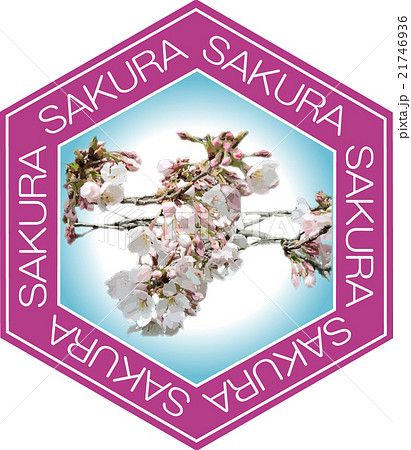 桜の花とSAKURA（空色） 21746936