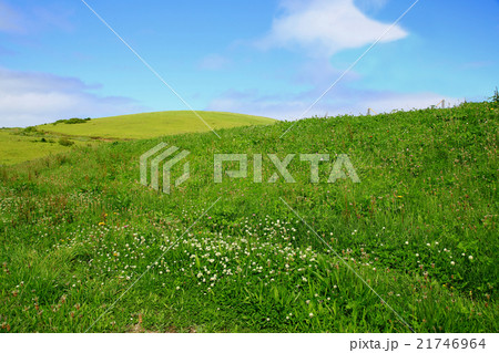 北海道　礼文島 21746964