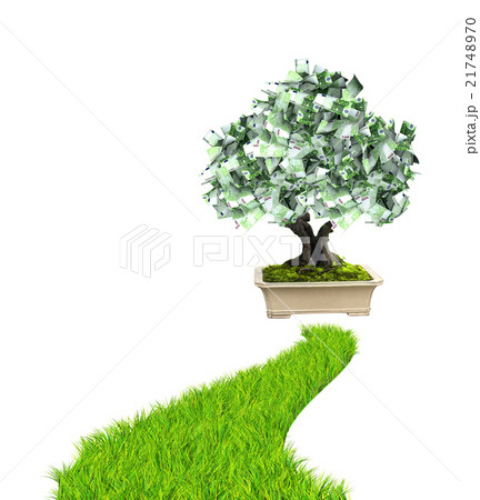 Money tree with euro banknotes and road  21748970