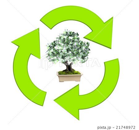 Money tree with euro banknotes Money tree with euro banknotes 21748972