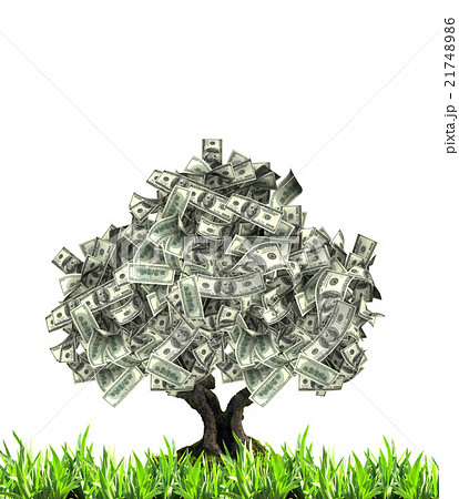 Money tree with dollar banknotes Money tree with dollar banknotes 21748986