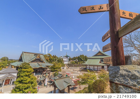 春の成田山の境内の風景 春の成田山の境内の風景 21749100