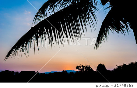 silhouette shot image of coconut tree and sunset sky in backgrou 21749268