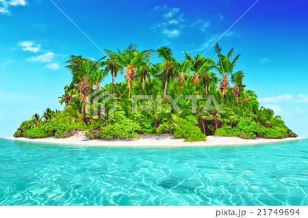 Whole tropical island within atoll Indian Ocean. Whole tropical island within atoll Indian Ocean. 21749694