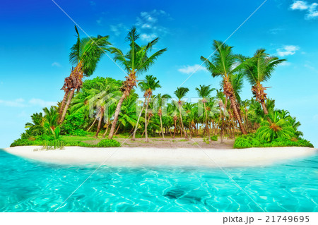 Whole tropical island within atoll Indian Ocean. 21749695