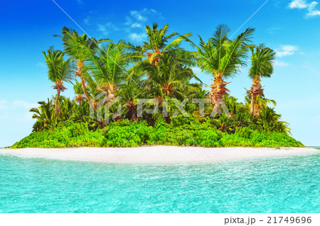 Whole tropical island within atoll Indian Ocean. 21749696