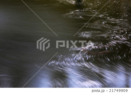 棚倉城跡の桜 21749909