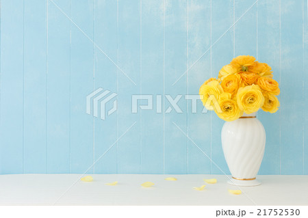 ラナンキュラス 21752530