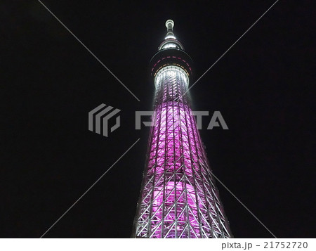 スカイツリー 夜景 ピンク スカイツリー 夜景 ピンク 21752720