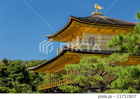 京都金閣寺 京都金閣寺 21752837