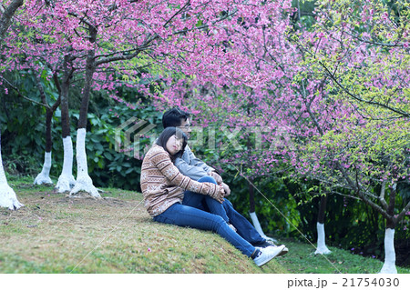 lovers lovers 21754030