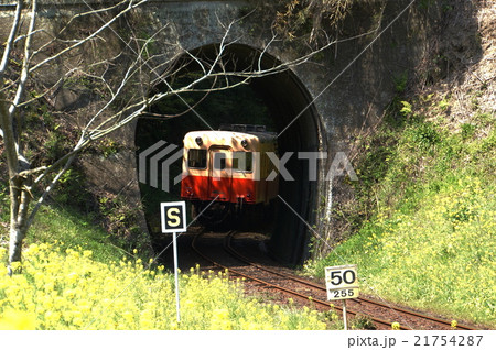 千葉県　小湊鉄道　トンネル 21754287